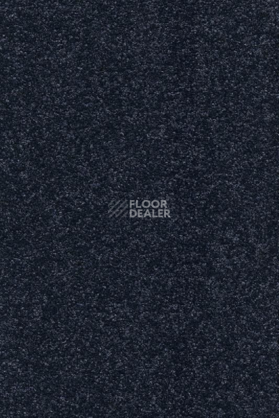 Ковролин AW Vivendi Punch 78 фото 1 | FLOORDEALER